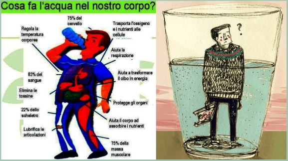 acqua_principale-980x400