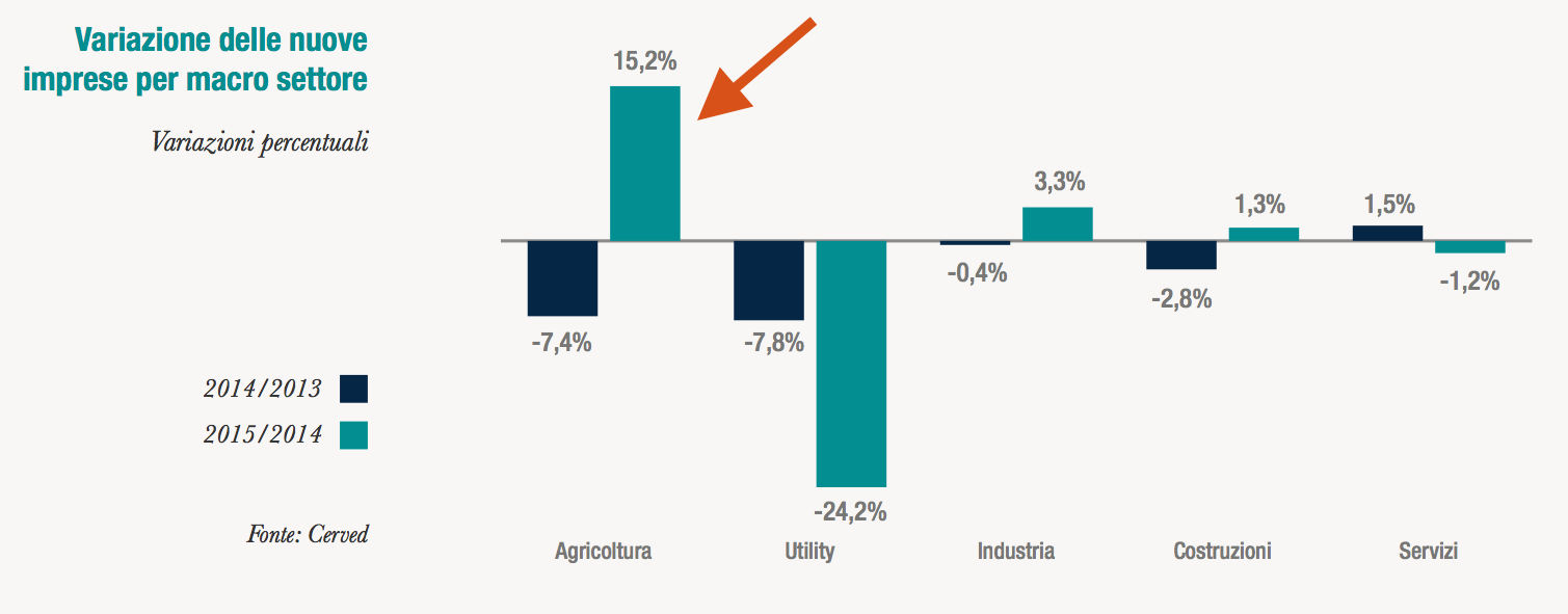 Variazione settori agricoltura